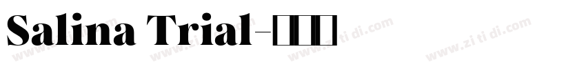 Salina Trial字体转换